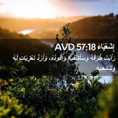Picture 02 - إِشَعْيَاءَ 57:18 AVD - رَأَيْتُ طُرُقَهُ - Bible Verse Picture