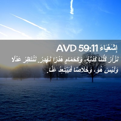 Picture 02 - إِشَعْيَاءَ 59:11 AVD - نَزْأَرُ كُلُّنَا - Bible Verse Picture