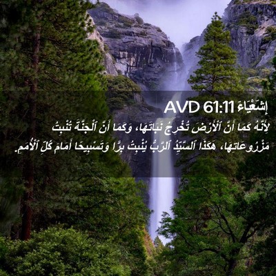 Picture 02 - إِشَعْيَاءَ 61:11 AVD - لِأَنَّهُ كَمَا أَنَّ - Bible Verse Picture