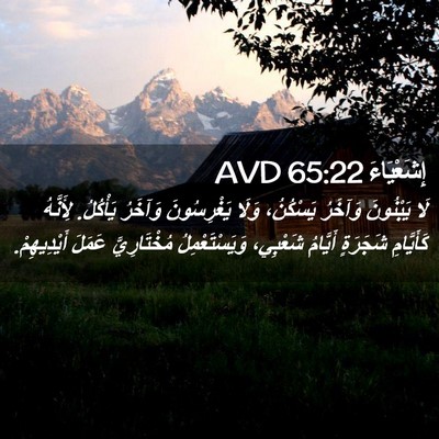 Picture 02 - إِشَعْيَاءَ 65:22 AVD - لَا يَبْنُونَ وَآخَرُ - Bible Verse Picture