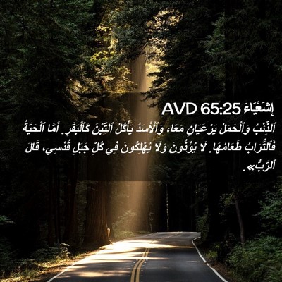 Picture 02 - إِشَعْيَاءَ 65:25 AVD - ٱلذِّئْبُ وَٱلْحَمَلُ - Bible Verse Picture
