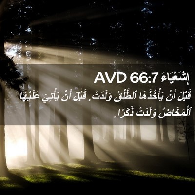 Picture 02 - إِشَعْيَاءَ 66:7 AVD - قَبْلَ أَنْ يَأْخُذَهَا - Bible Verse Picture