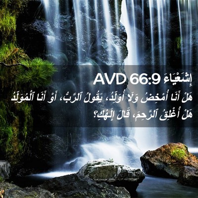 Picture 02 - إِشَعْيَاءَ 66:9 AVD - هَلْ أَنَا أُمْخِضُ وَلَا - Bible Verse Picture