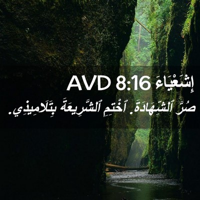 Picture 02 - إِشَعْيَاءَ 8:16 AVD - صُرَّ ٱلشِّهَادَةَ. - Bible Verse Picture