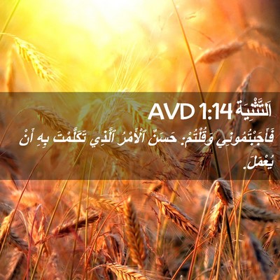 Picture 02 - اَلتَّثْنِيَة 1:14 AVD - فَأَجَبْتُمُونِي - Bible Verse Picture