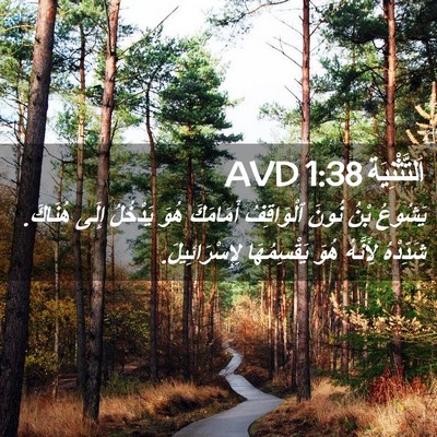 Picture 02 - اَلتَّثْنِيَة 1:38 AVD - يَشُوعُ بْنُ نُونَ - Bible Verse Picture