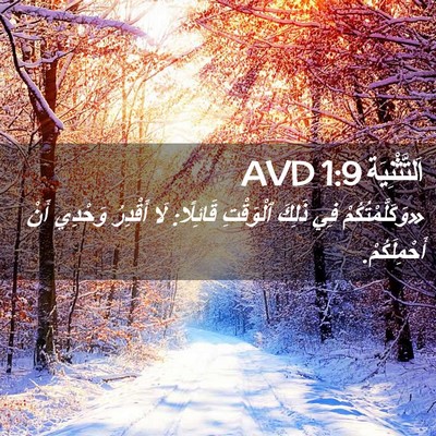 Picture 02 - اَلتَّثْنِيَة 1:9 AVD - «وَكَلَّمْتُكُمْ فِي - Bible Verse Picture