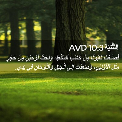 Picture 02 - اَلتَّثْنِيَة 10:3 AVD - فَصَنَعْتُ تَابُوتًا مِنْ - Bible Verse Picture