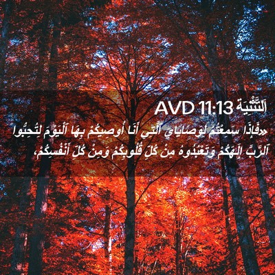 Picture 02 - اَلتَّثْنِيَة 11:13 AVD - «فَإِذَا سَمِعْتُمْ - Bible Verse Picture