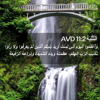 Picture 02 - اَلتَّثْنِيَة 11:2 AVD - وَٱعْلَمُوا ٱلْيَوْمَ - Bible Verse Picture
