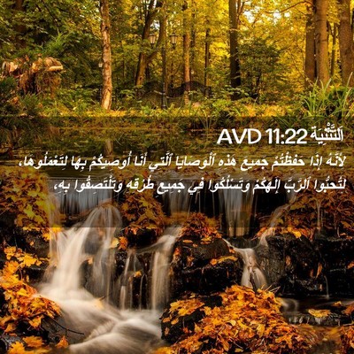 Picture 02 - اَلتَّثْنِيَة 11:22 AVD - لِأَنَّهُ إِذَا - Bible Verse Picture