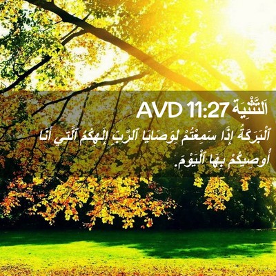 Picture 02 - اَلتَّثْنِيَة 11:27 AVD - ٱلْبَرَكَةُ إِذَا - Bible Verse Picture