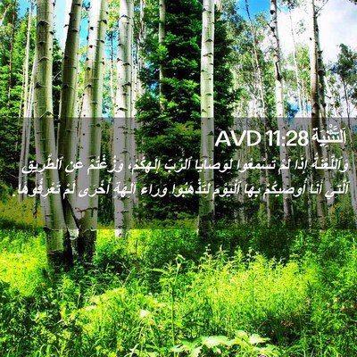 Picture 02 - اَلتَّثْنِيَة 11:28 AVD - وَٱللَّعْنَةُ إِذَا لَمْ - Bible Verse Picture