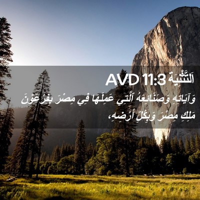 Picture 02 - اَلتَّثْنِيَة 11:3 AVD - وَآيَاتِهِ وَصَنَائِعَهُ - Bible Verse Picture