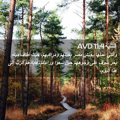 Picture 02 - اَلتَّثْنِيَة 11:4 AVD - وَٱلَّتِي عَمِلَهَا - Bible Verse Picture