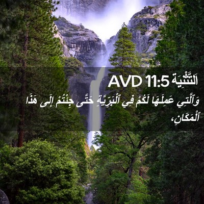 Picture 02 - اَلتَّثْنِيَة 11:5 AVD - وَٱلَّتِي عَمِلَهَا - Bible Verse Picture