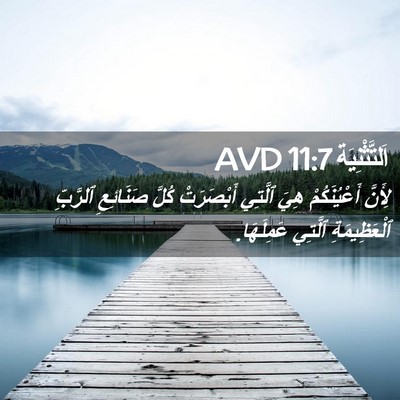 Picture 02 - اَلتَّثْنِيَة 11:7 AVD - لِأَنَّ أَعْيُنَكُمْ هِيَ - Bible Verse Picture