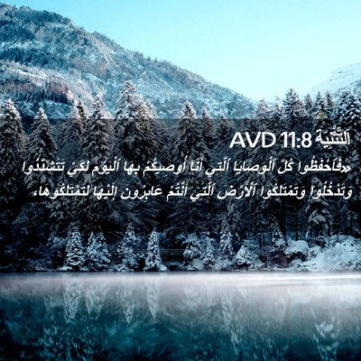 Picture 02 - اَلتَّثْنِيَة 11:8 AVD - «فَٱحْفَظُوا كُلَّ - Bible Verse Picture