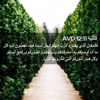 Picture 02 - اَلتَّثْنِيَة 12:11 AVD - فَٱلْمَكَانُ ٱلَّذِي - Bible Verse Picture