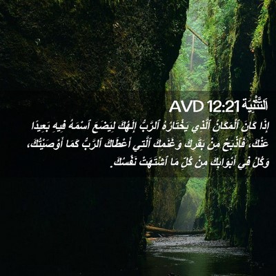 Picture 02 - اَلتَّثْنِيَة 12:21 AVD - إِذَا كَانَ ٱلْمَكَانُ - Bible Verse Picture