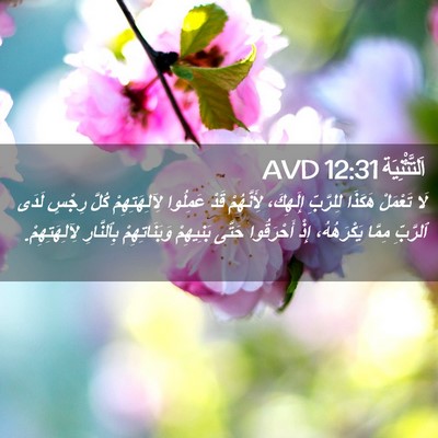 Picture 02 - اَلتَّثْنِيَة 12:31 AVD - لَا تَعْمَلْ هَكَذَا - Bible Verse Picture
