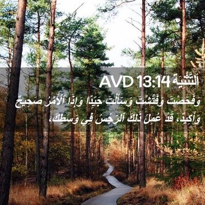 Picture 02 - اَلتَّثْنِيَة 13:14 AVD - وَفَحَصْتَ وَفَتَّشْتَ - Bible Verse Picture