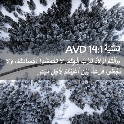 Picture 02 - اَلتَّثْنِيَة 14:1 AVD - «أَنْتُمْ أَوْلَادٌ - Bible Verse Picture