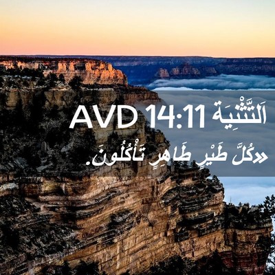 Picture 02 - اَلتَّثْنِيَة 14:11 AVD - «كُلَّ طَيْرٍ طَاهِرٍ - Bible Verse Picture