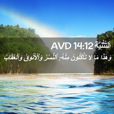 Picture 02 - اَلتَّثْنِيَة 14:12 AVD - وَهَذَا مَا لَا - Bible Verse Picture