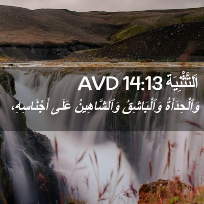 Picture 02 - اَلتَّثْنِيَة 14:13 AVD - وَٱلْحِدَأَةُ - Bible Verse Picture