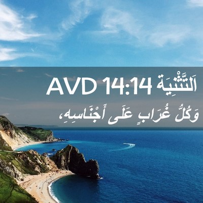 Picture 02 - اَلتَّثْنِيَة 14:14 AVD - وَكُلُّ غُرَابٍ عَلَى - Bible Verse Picture