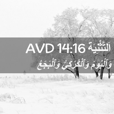Picture 02 - اَلتَّثْنِيَة 14:16 AVD - وَٱلْبُومُ وَٱلْكُرْكِيُّ - Bible Verse Picture