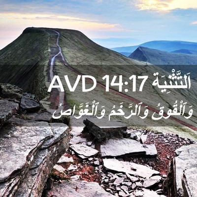 Picture 02 - اَلتَّثْنِيَة 14:17 AVD - وَٱلْقُوقُ وَٱلرَّخَمُ - Bible Verse Picture