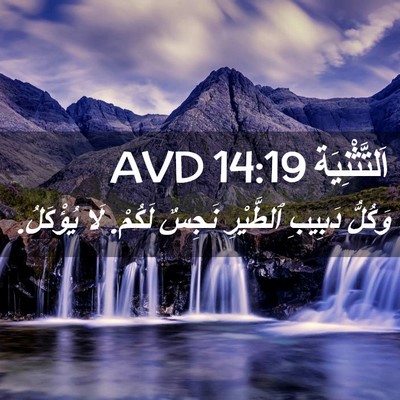 Picture 02 - اَلتَّثْنِيَة 14:19 AVD - وَكُلُّ دَبِيبِ ٱلطَّيْرِ - Bible Verse Picture