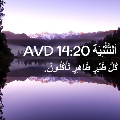 Picture 02 - اَلتَّثْنِيَة 14:20 AVD - كُلَّ طَيْرٍ طَاهِرٍ - Bible Verse Picture