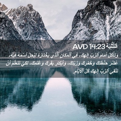 Picture 02 - اَلتَّثْنِيَة 14:23 AVD - وَتَأْكُلُ أَمَامَ - Bible Verse Picture