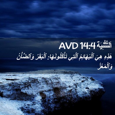 Picture 02 - اَلتَّثْنِيَة 14:4 AVD - هَذِهِ هِيَ ٱلْبَهَائِمُ - Bible Verse Picture