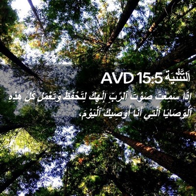 Picture 02 - اَلتَّثْنِيَة 15:5 AVD - إِذَا سَمِعْتَ صَوْتَ - Bible Verse Picture