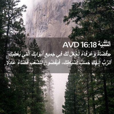 Picture 02 - اَلتَّثْنِيَة 16:18 AVD - «قُضَاةً وَعُرَفَاءَ - Bible Verse Picture