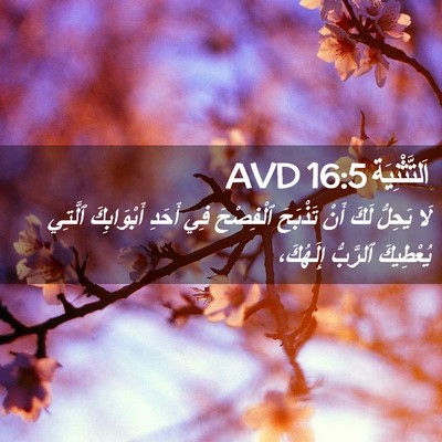 Picture 02 - اَلتَّثْنِيَة 16:5 AVD - لَا يَحِلُّ لَكَ أَنْ - Bible Verse Picture