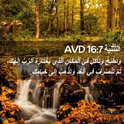 Picture 02 - اَلتَّثْنِيَة 16:7 AVD - وَتَطْبُخُ وَتَأْكُلُ فِي - Bible Verse Picture