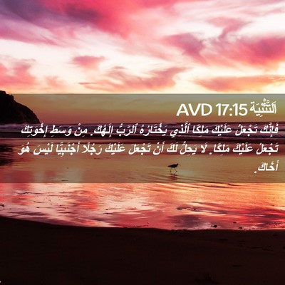Picture 02 - اَلتَّثْنِيَة 17:15 AVD - فَإِنَّكَ تَجْعَلُ - Bible Verse Picture