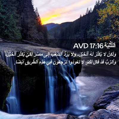 Picture 02 - اَلتَّثْنِيَة 17:16 AVD - وَلَكِنْ لَا يُكَثِّرْ - Bible Verse Picture