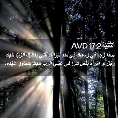 Picture 02 - اَلتَّثْنِيَة 17:2 AVD - «إِذَا وُجِدَ فِي وَسَطِكَ - Bible Verse Picture