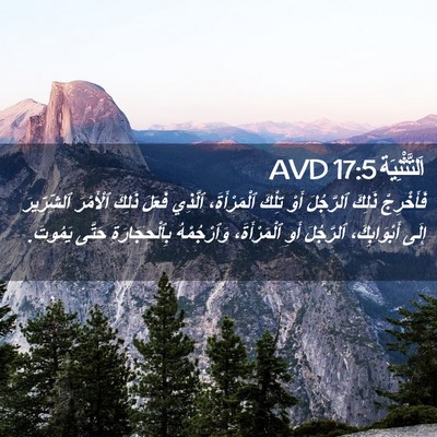 Picture 02 - اَلتَّثْنِيَة 17:5 AVD - فَأَخْرِجْ ذَلِكَ - Bible Verse Picture