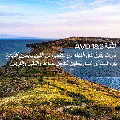 Picture 02 - اَلتَّثْنِيَة 18:3 AVD - «وَهَذَا يَكُونُ حَقُّ - Bible Verse Picture
