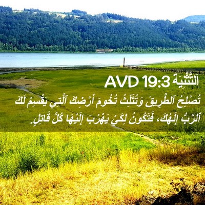 Picture 02 - اَلتَّثْنِيَة 19:3 AVD - تُصْلِحُ ٱلطَّرِيقَ - Bible Verse Picture