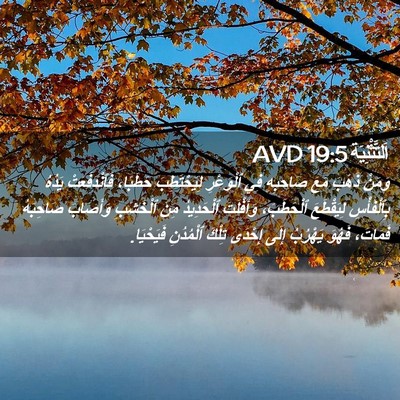Picture 02 - اَلتَّثْنِيَة 19:5 AVD - وَمَنْ ذَهَبَ مَعَ - Bible Verse Picture