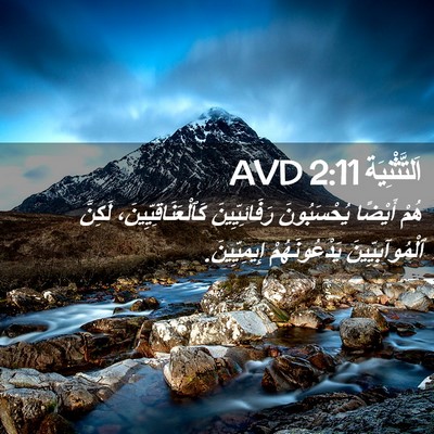 Picture 02 - اَلتَّثْنِيَة 2:11 AVD - هُمْ أَيْضًا يُحْسَبُونَ - Bible Verse Picture
