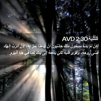 Picture 02 - اَلتَّثْنِيَة 2:30 AVD - لَكِنْ لَمْ يَشَأْ - Bible Verse Picture